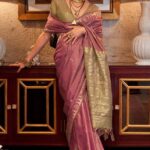 We discover the most well-liked varieties of ladies’s Indian clothes